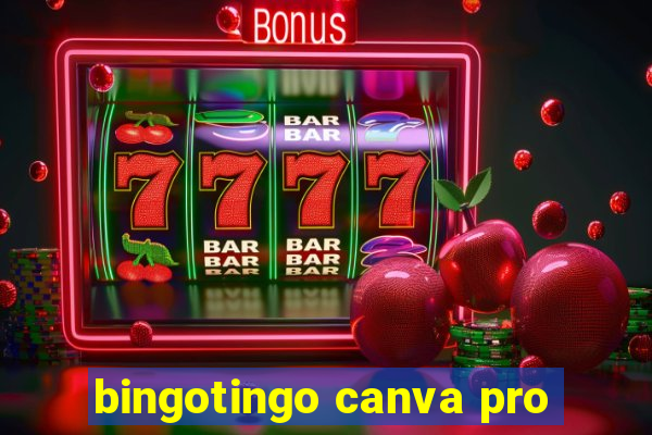 bingotingo canva pro